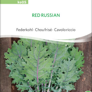 Bladkål - Red Russian - ØKO