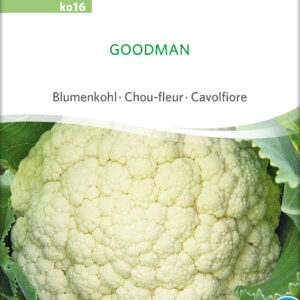Blomkål - Goodman - ØKO