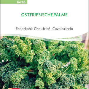 Grønkål - Ostfriesische Palme - ØKO