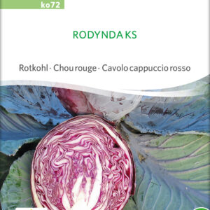 Rødkål - Rodynda KS - ØKO