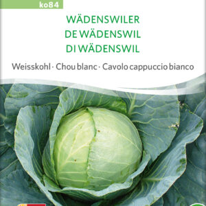 Hvidkål - Wädenswiler - ØKO