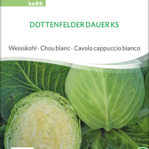 Hvidkål - Dottenfelder Dauer - ØKO