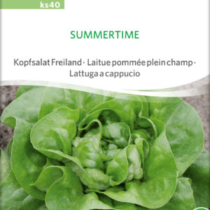 Salat - Summertime - ØKO