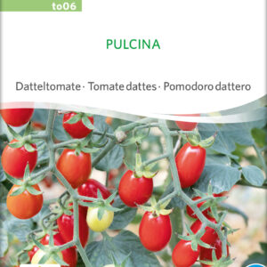 Tomat - Pulcina - ØKO