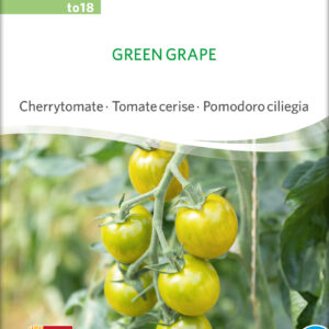 Tomat - Green Grape - ØKO
