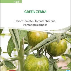 Tomat - Green Zebra - ØKO