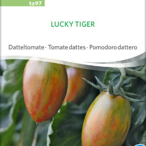 Tomat - Lucky Tiger - ØKO