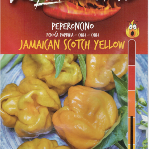 Jamaican Scotch Yellow - C.chinense