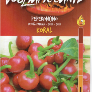 Koral - C.annuum
