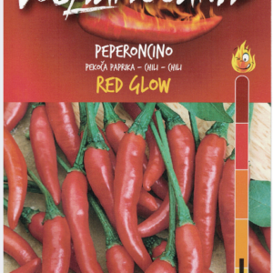 Red Glow - C.baccatum