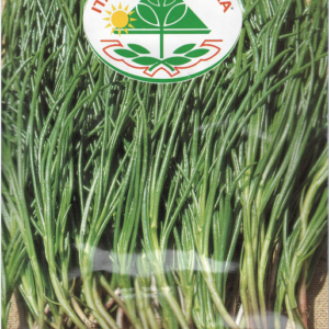 Sodaurt - Agretti Roscano - Barba Di Frate