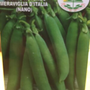Ært - Meraviglia D'Italia - 500 gram