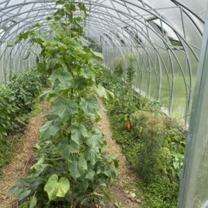 ECOSlider ES4 Premium Dobbeltdør
