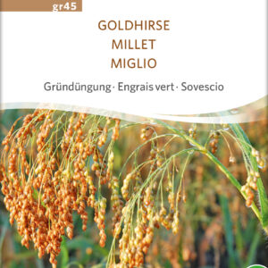 Guld Hirse - ØKO