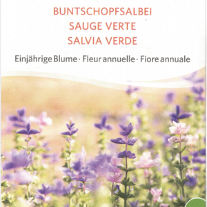 Salvie - Salvia Verde - ØKO