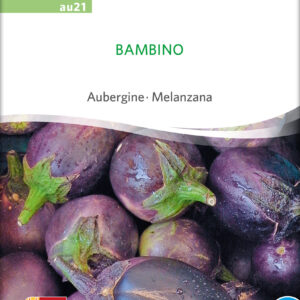 Aubergine - Bambino - ØKO