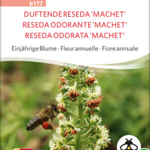 Duftende Reseda - Reseda Odorata - Machet - ØKO
