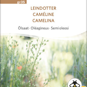 Falsk Hør - Camelina - ØKO