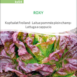 Salat - Hoved - Roxy - ØKO