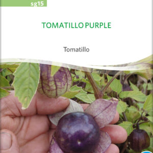 Tomatillo Purple - ØKO
