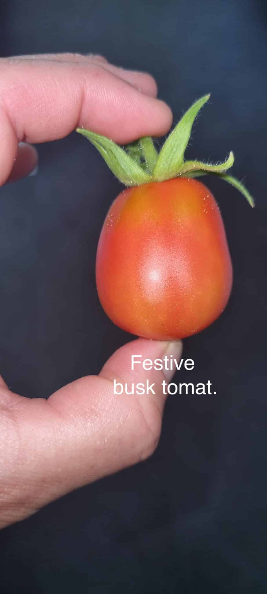 Gratis frø gave ved køb. - Billede 7