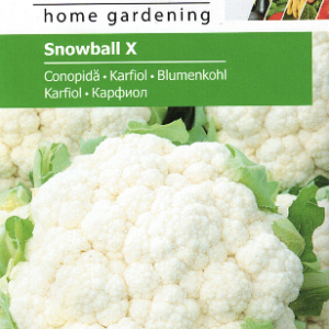 Blomkål - Snowball X - Lille pk.