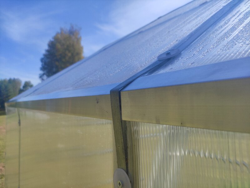 Baltic Klasika Bernard - Polycarbonat drivhus - Billede 3