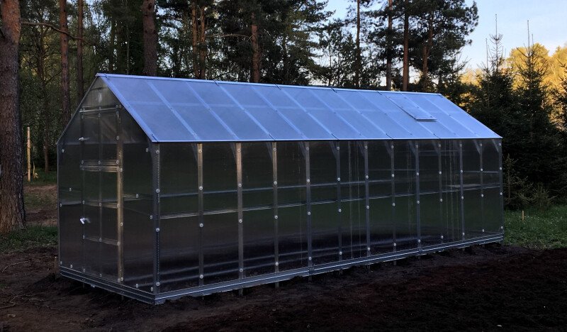 Baltic Klasika House - Polycarbonat drivhus - Billede 8