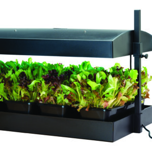 Growlight Garden Sort - LED version