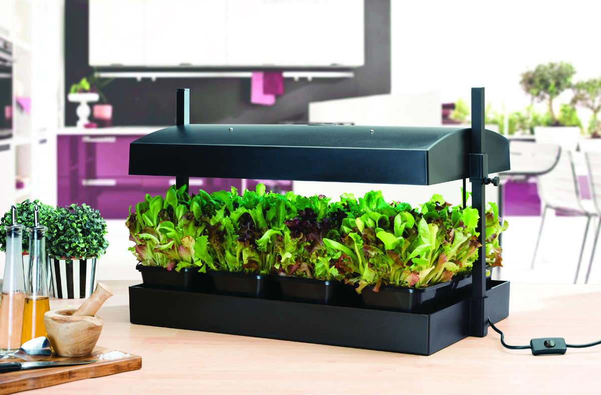 Growlight Garden Sort - LED version - Billede 5