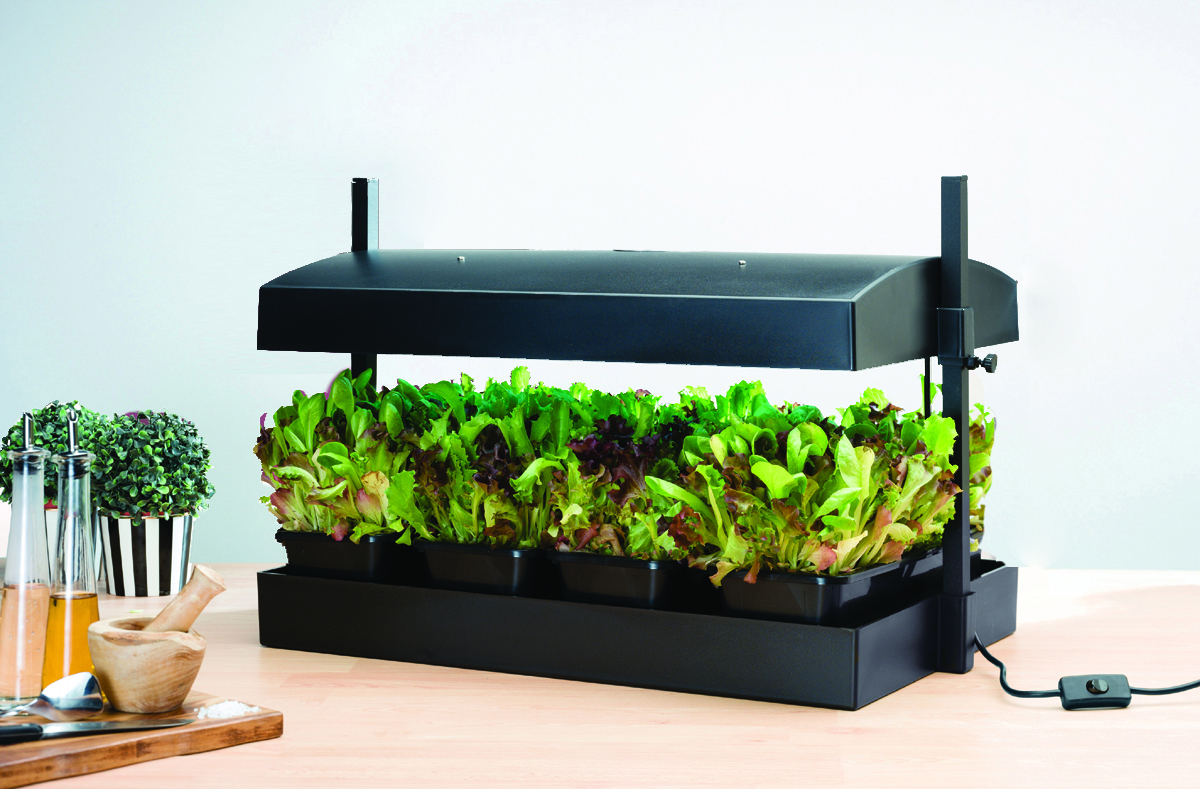 Growlight Garden Sort - LED version - Billede 4