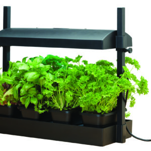 Micro Growlight Garden Sort - LED