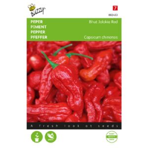 Bhut Jolokia - C. chinense