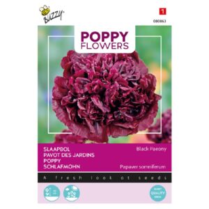 Sort Pæon - Papaver Black Paeony