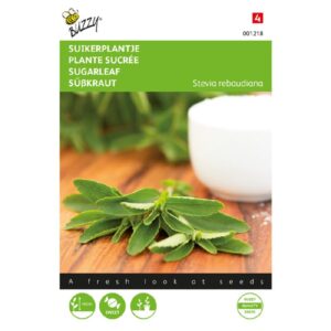 Sukkerplante - Stevia rebaudiana