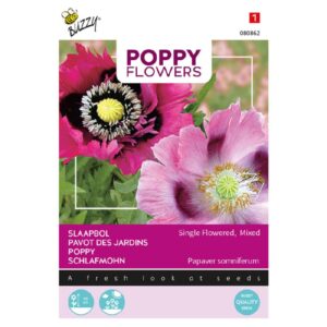 Valmue Mix - Single Flowered, mixed