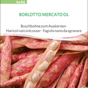 Dværgbønne - Borlotto Mercato - ØKO