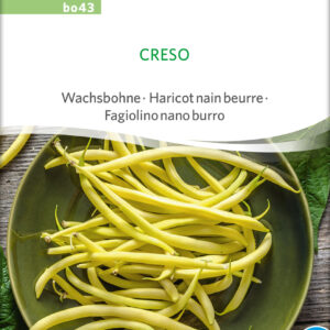 Voksbønne - Creso - ØKO
