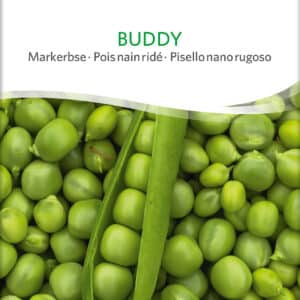 Ært - Buddy - ØKO