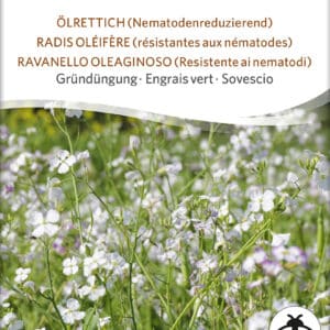 Olieræddike - Fodder Radish - ØKO