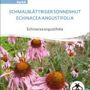 Smalbladet Solhat - Echinacea angustifolia - ØKO