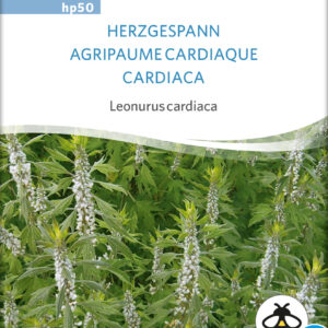 Almindelig Hjertespand - Leonurus Cardiaca - ØKO
