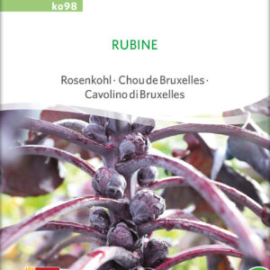 Rosenkål - Rubine - ØKO