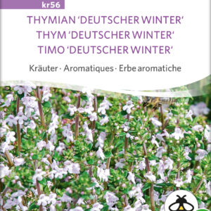 Timian - THYME DEUTSCHER WINTER - ØKO