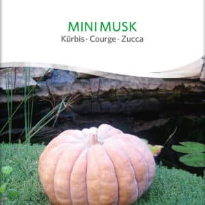 Græskar - Mini Musk - ØKO