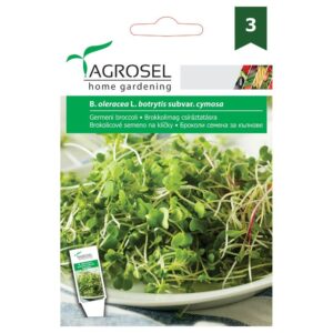 Broccoli Spirer - B. oleracea L. botrytis subvar. cymosa - Stor pk