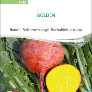 Rødbede - Golden - ØKO