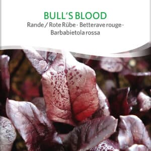 Rødbede - Bull's Blood - ØKO
