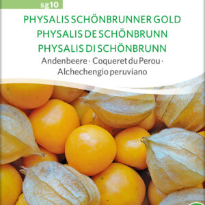 Ananas Kirsebær - Physalis peruviana - ØKO