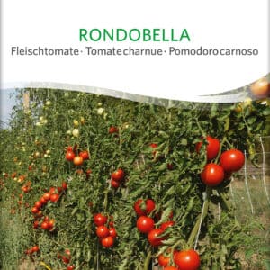 Tomat - Rondobella - ØKO